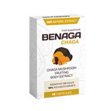 Benaga Chaga - liek na zápal močového mechúra