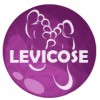 Levicose - gél na kŕčové žily