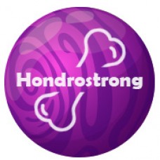 Hondrostrong - spoločný liek