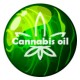 Cannabis Oil - liek na imunitu